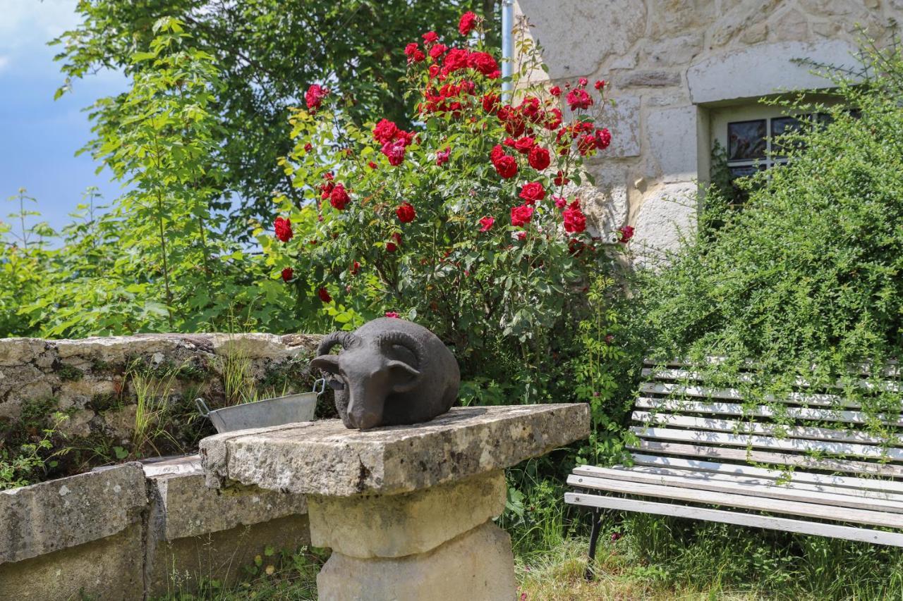 Chateau De Sothonod Kültér fotó